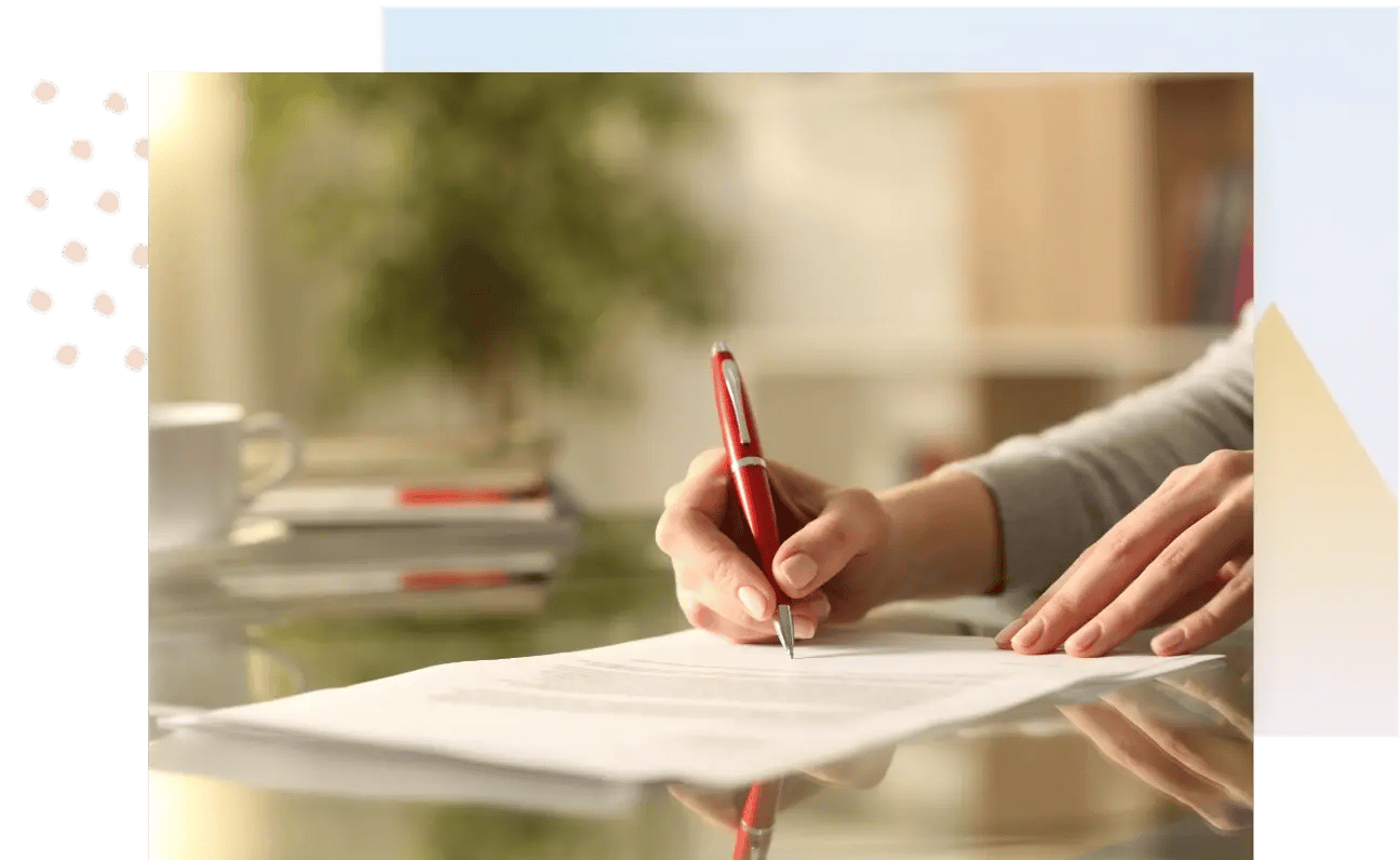 Statement of Work Services France